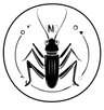 Logo Criquet Studio